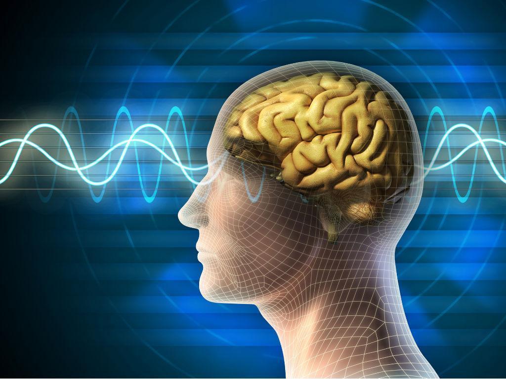 Curso de formação do sistema psico-neural através da abordagem homotoxicológica e integrativa